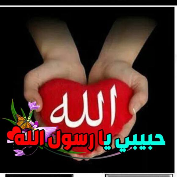 elsayednahed